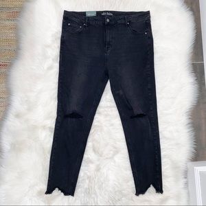 NWT Wild Fable high rise skinny jeans 18
